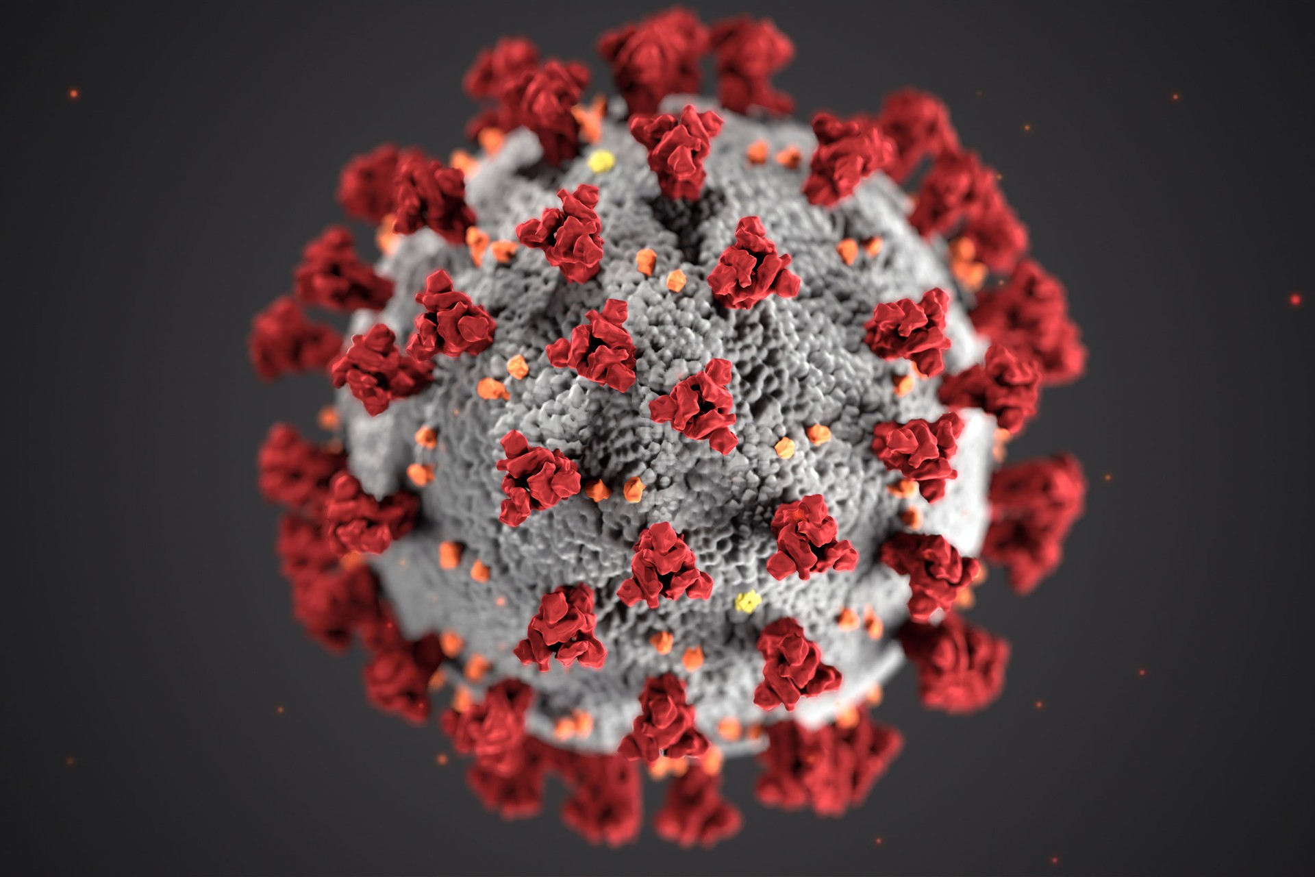 Impact of Coronavirus on Cyberhomes Image